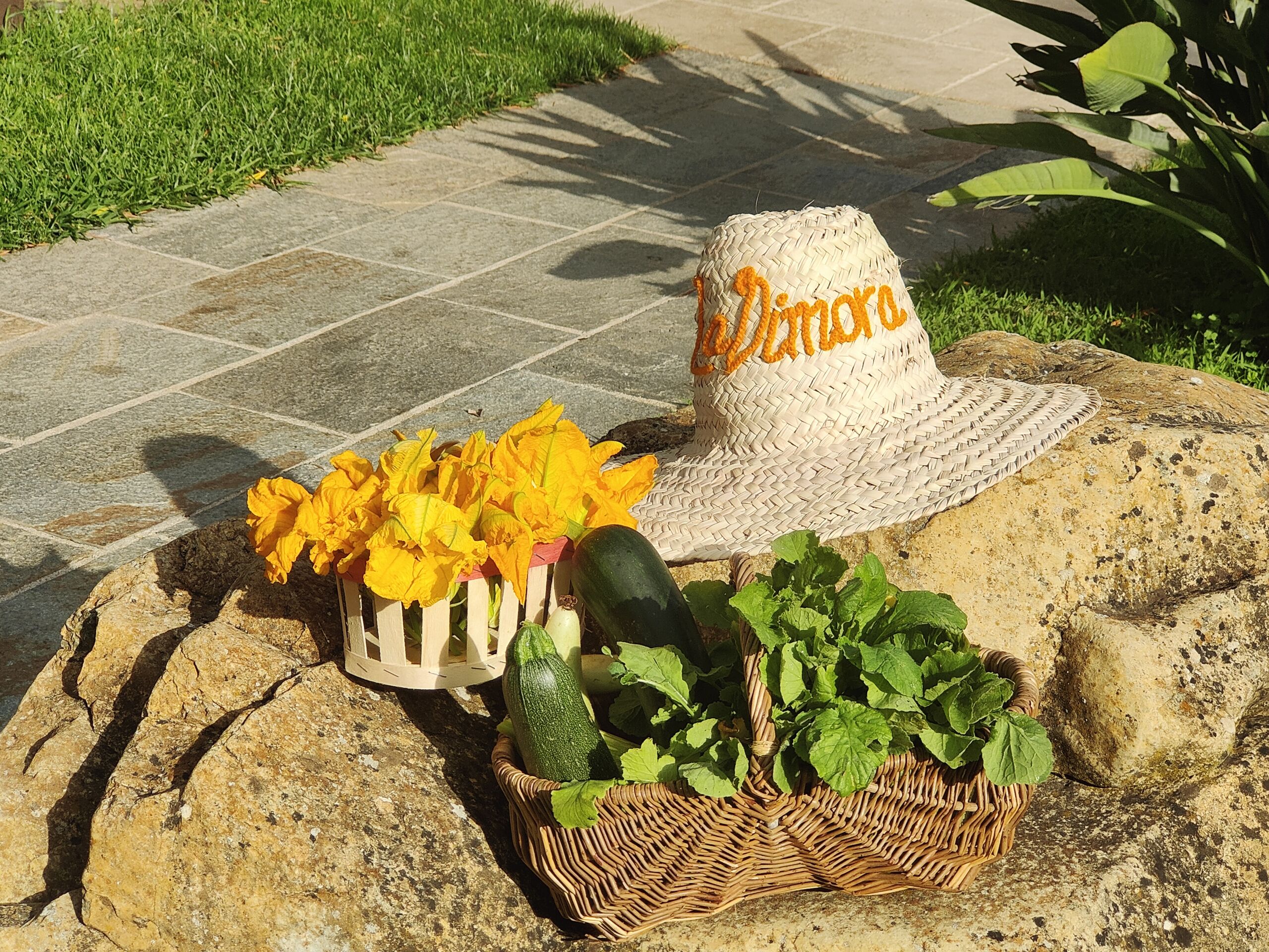 IMG20230621082450 002