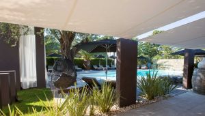 Détente au bord de la piscine