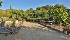 Le terrain de pétanque