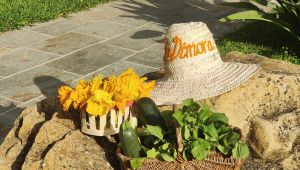 IMG20230621082450 002