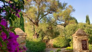 Chemin du Jardin de l'Hôtel La Dimora